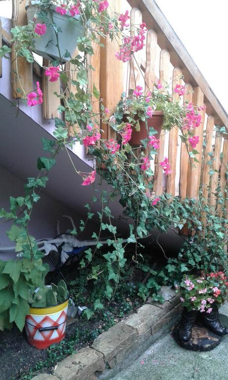 Apartment Centar Saraybosna Dış mekan fotoğraf