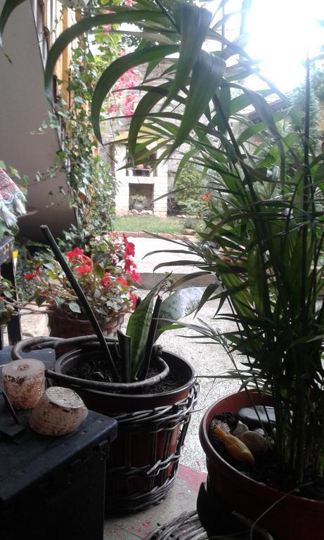 Apartment Centar Saraybosna Oda fotoğraf